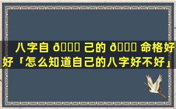 八字自 🐟 己的 🐎 命格好不好「怎么知道自己的八字好不好」